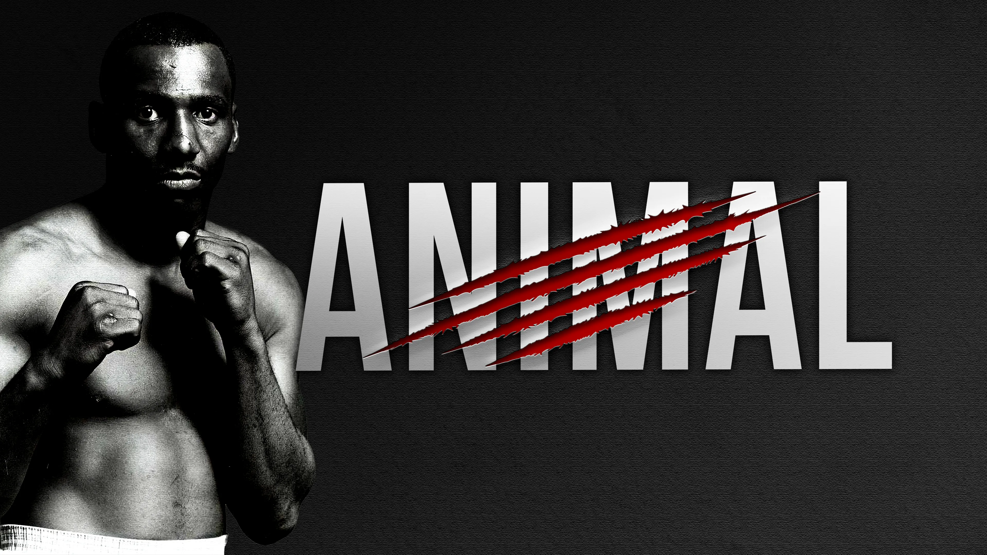 Animal poster